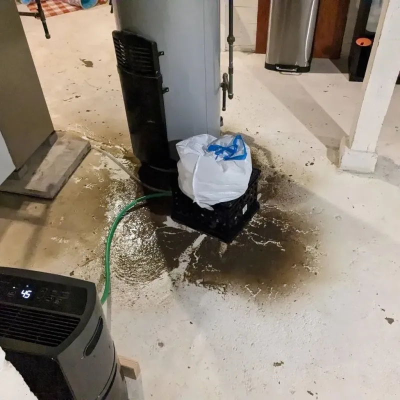 Sewage Backup Cleanup Service in Box Elder County, UT